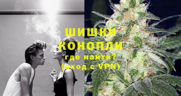 прущие грибы Баксан