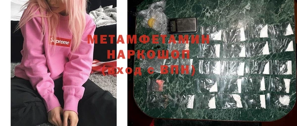 ГАЛЛЮЦИНОГЕННЫЕ ГРИБЫ Аркадак
