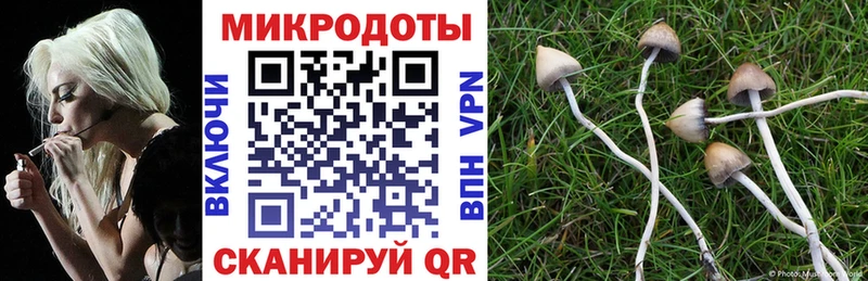 Купить  Мелеуз  Галлюциногенные грибы Cubensis 